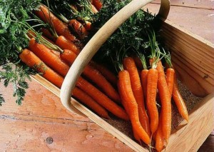 Gateau de gateau de carotte sans cuisson